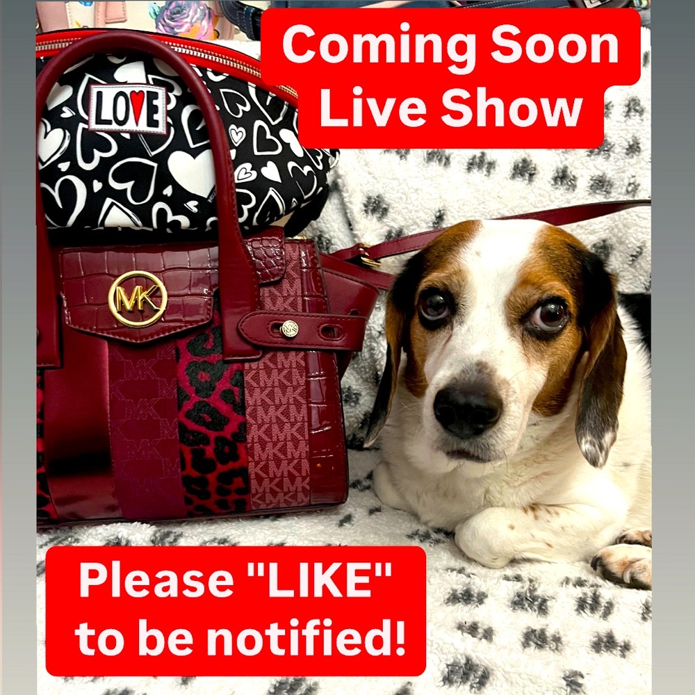 LIVE NOTIFICATION! 🥰🐶Please like my cutie pie beagle Watson to be notified !!!!